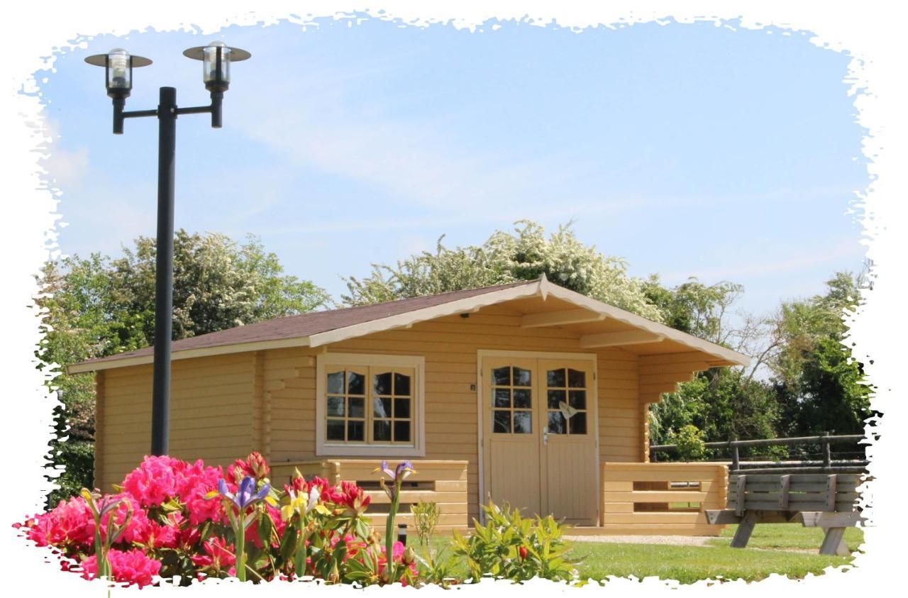 Domaine De Soignolles Otel Dış mekan fotoğraf