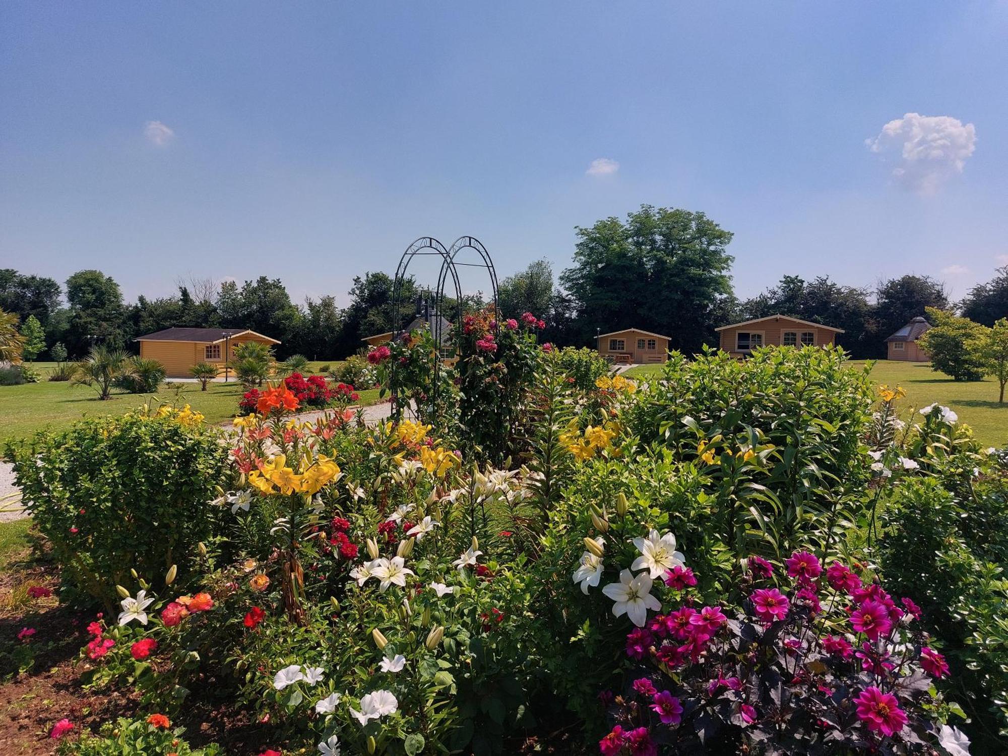 Domaine De Soignolles Otel Dış mekan fotoğraf